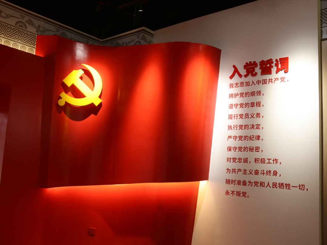 党建活动的力量与意义